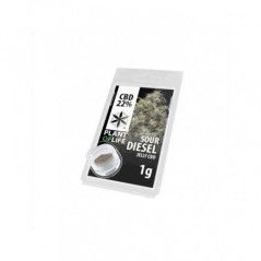 Variedad:Sour Diesel:4:1