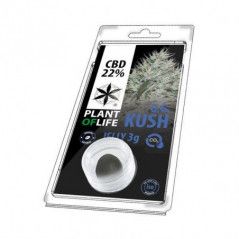 Variedad:Lemon Haze:6:1