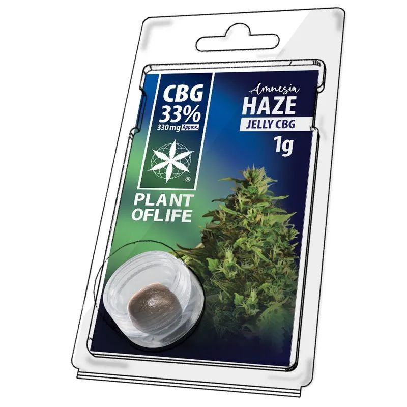 INCIENSO DE CBG JELLY 33% PLANT OF LIFE 1G