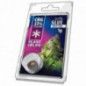 INCIENSO DE CBG JELLY 33% PLANT OF LIFE 1G