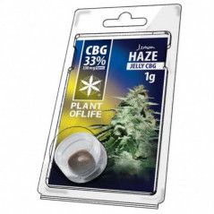 Variedad:Blueberry:8:1