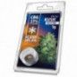 INCIENSO DE CBG JELLY 33% PLANT OF LIFE 1G