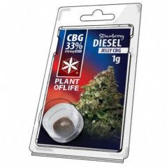 Variedad:Amnesia Haze:14:1