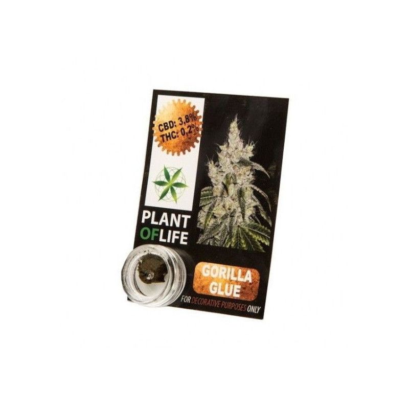 INCIENSO DE CBD 3.8% PLANT OF LIFE