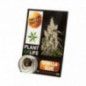 INCIENSO DE CBD 3.8% PLANT OF LIFE