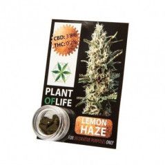 INCIENSO DE CBD 3.8% PLANT OF LIFE