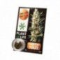 INCIENSO DE CBD 3.8% PLANT OF LIFE