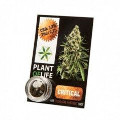 CBD:0-5%:2:1