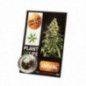 INCIENSO DE CBD 3.8% PLANT OF LIFE