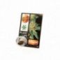 INCIENSO DE CBD 3.8% PLANT OF LIFE
