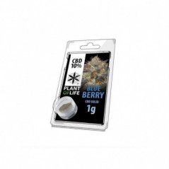 Variedad:Lemon Haze:7:1