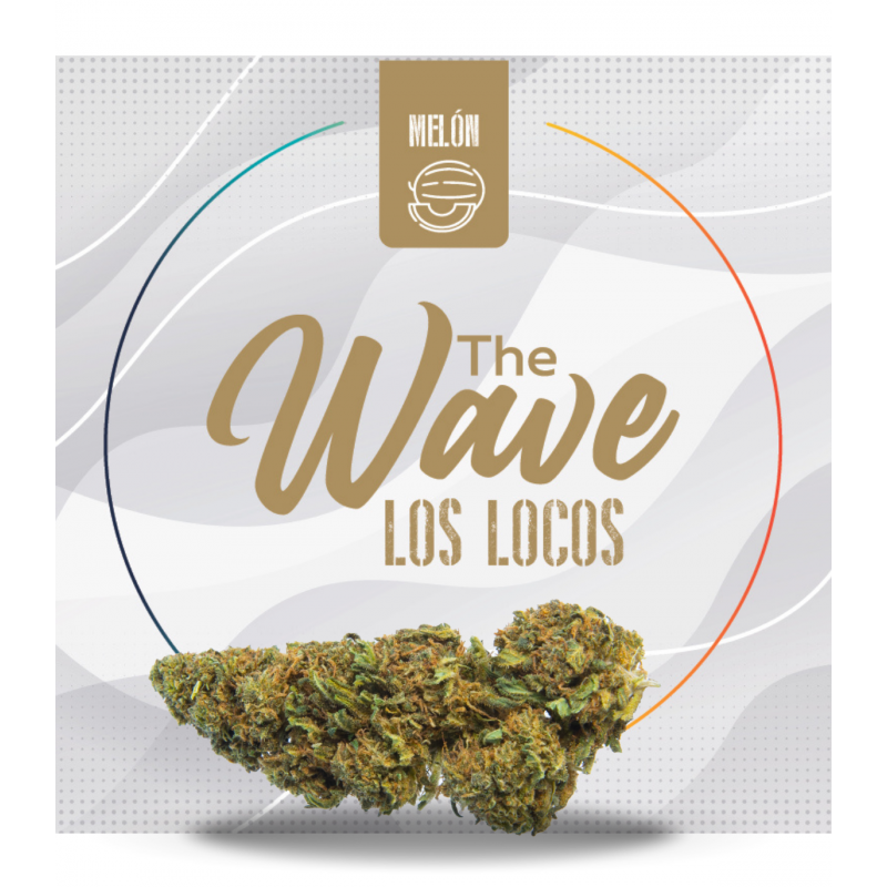 FLORES DE CBD "LOS LOCOS" THE WAVE