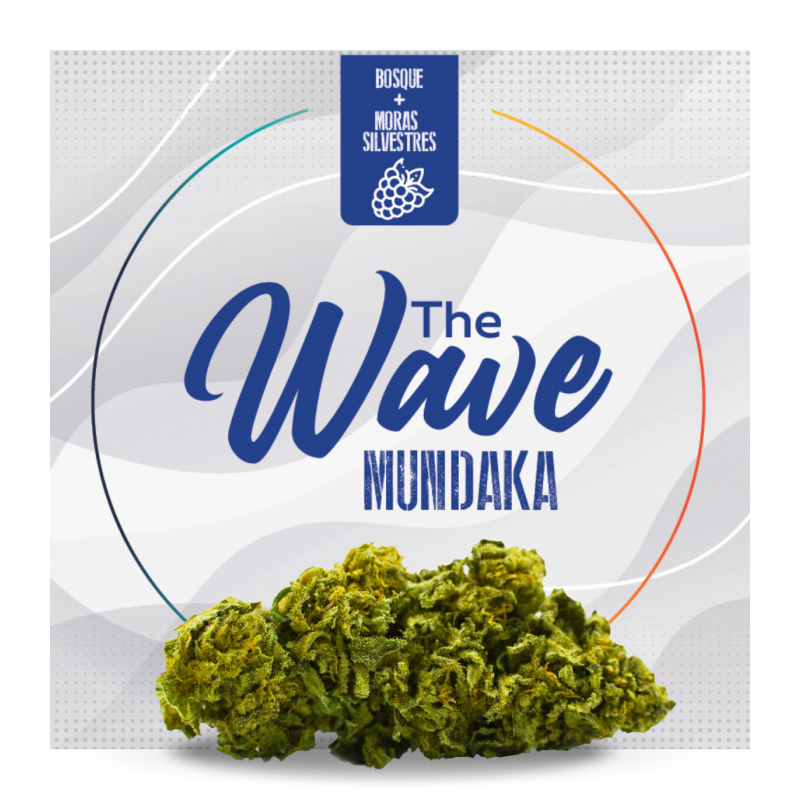 FLORES DE CBD "MUNDAKA" THE WAVE