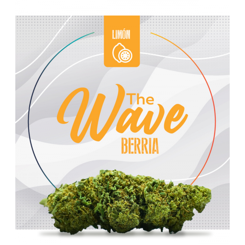 FLORES DE CBD "BERRIA" THE WAVE