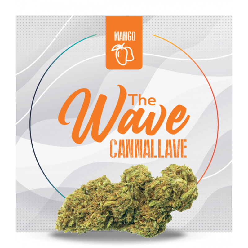 FLORES DE CBD "CANNALLAVE" THE WAVE