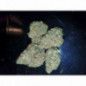 SEMILLAS MEDICINALES DE CBD