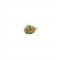 FLORES DE CBD LEMON LOUIS YERBABUENA