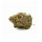 FLORES DE CBD CHECOVSKY YERBABUENA
